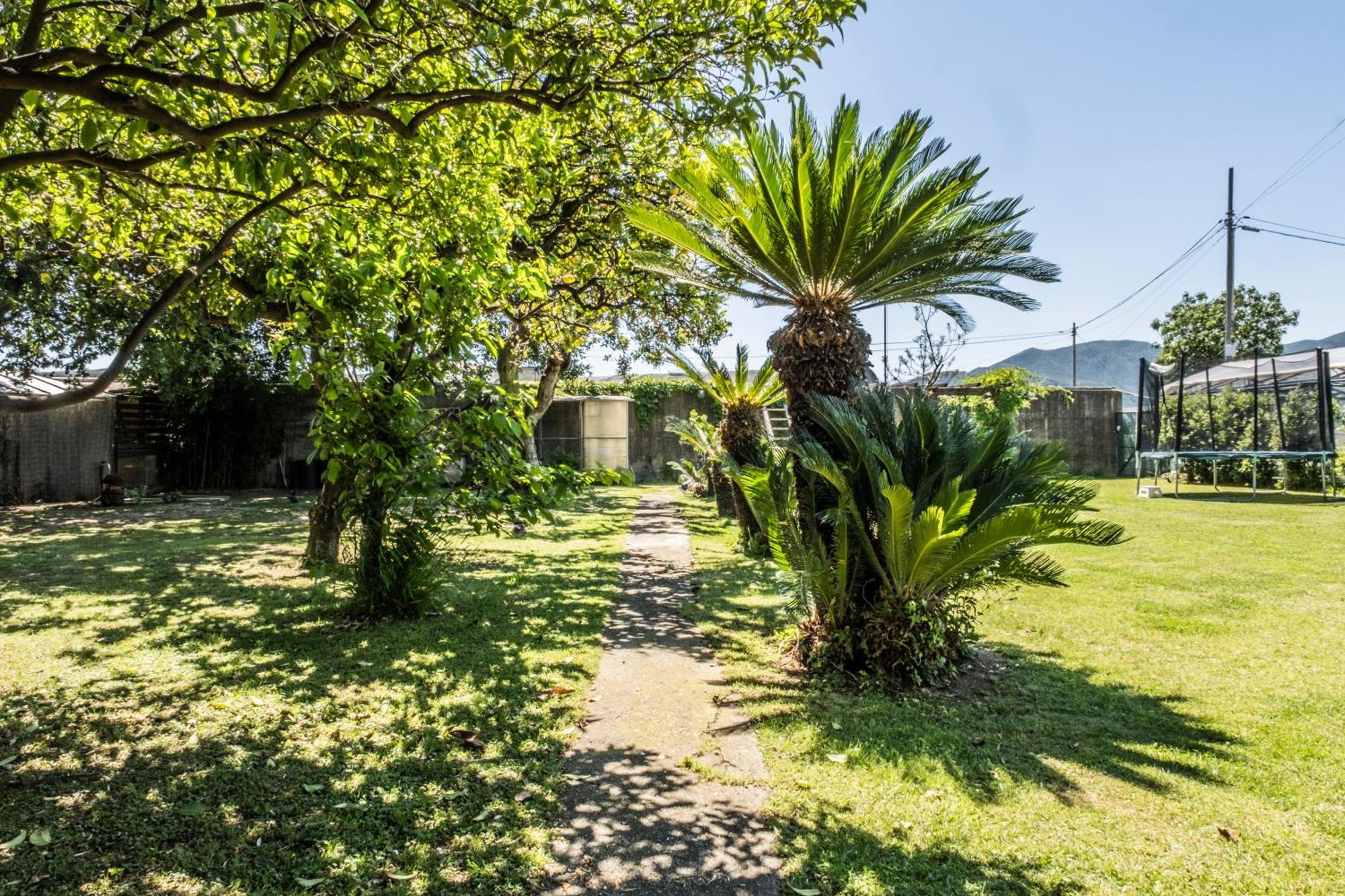 Agriturismo Giorgi Appartamenti In Riviera Ligure Albenga Kültér fotó