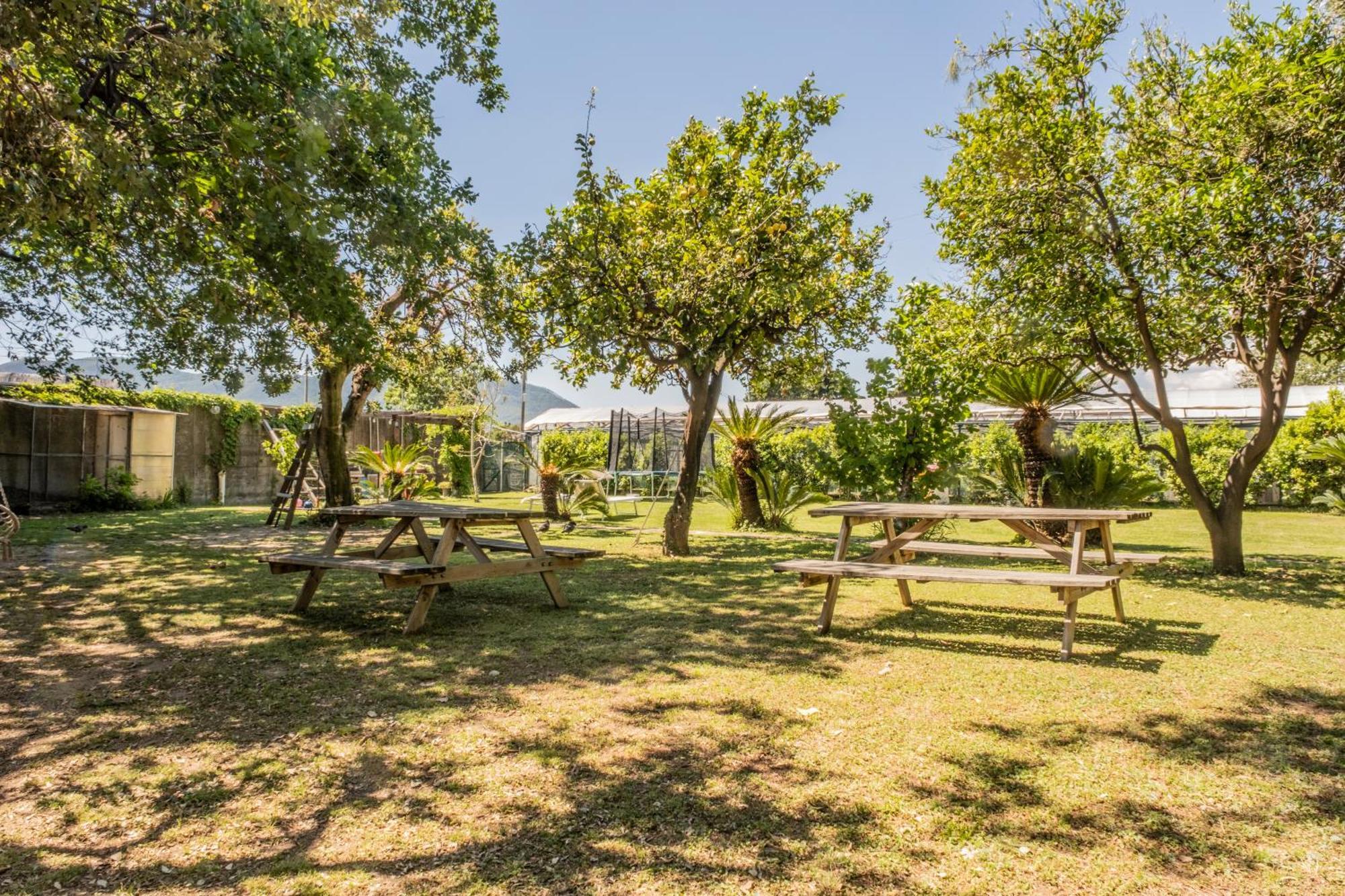 Agriturismo Giorgi Appartamenti In Riviera Ligure Albenga Kültér fotó